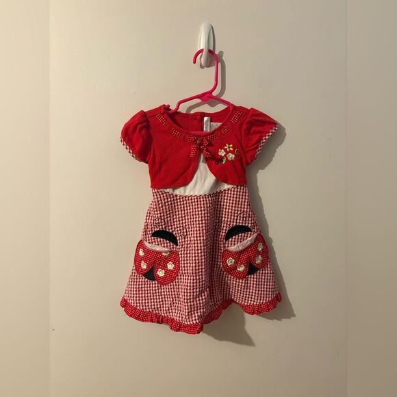 Youngland Red and White Gingham Baby Dress with Ladybug Pockets - Picture 1 of 2
